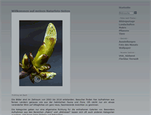 Tablet Screenshot of jnemec.com